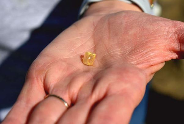 공원에서 산책 도중 발견한 4.38캐럿 다이아몬드. 아칸소주 주립공원