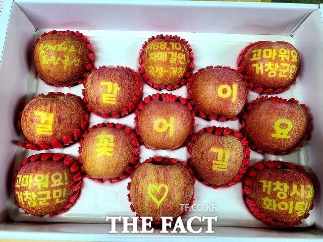 전남 곡성군이 경남 거창군의 온정에 고마움을 담아 보낸 '사과 박스' / 곡성군 제공