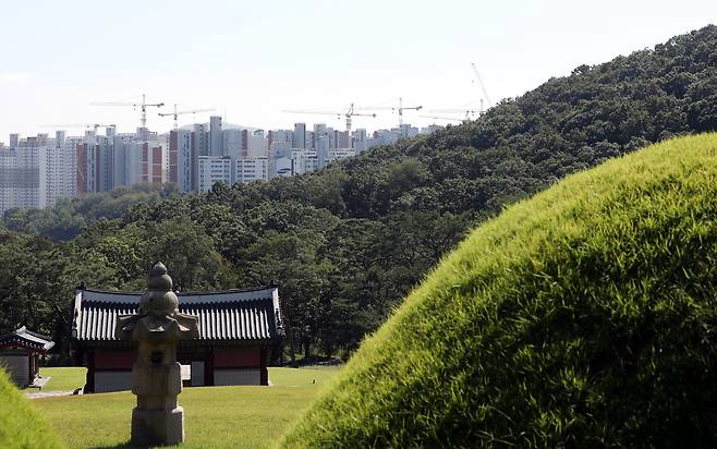 경기도 김포시 풍무동 장릉 전방에 인천 서구 검단신도시 신축 아파트 건설 현장이 보인다. /연합뉴스