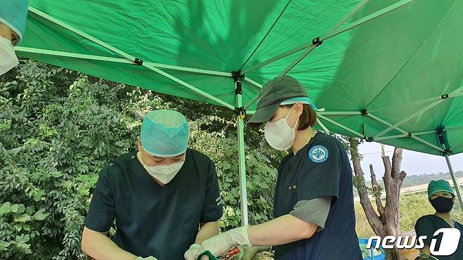 수의사들이 3일 인천 중구 영종역 인근에서 개들의 중성화 수술 봉사를 진행하고 있다. © 뉴스1 최서윤 기자