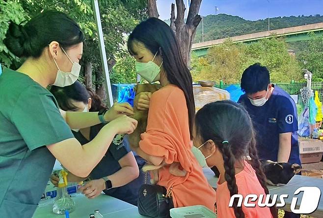 수의사가 3일 인천 중구 영종역 부근에서 개들에게 예방접종을 하고 있다. 봉사자 중에는 어린 아이들을 데리고 와 동물 사랑을 가르친 부모도 있었다. © 뉴스1 최서윤 기자