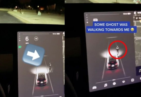 공동묘지 근처의 아무도 없는 길가를 지나는 테슬라 차량이 사람을 감지한 모습. /사진=틱톡