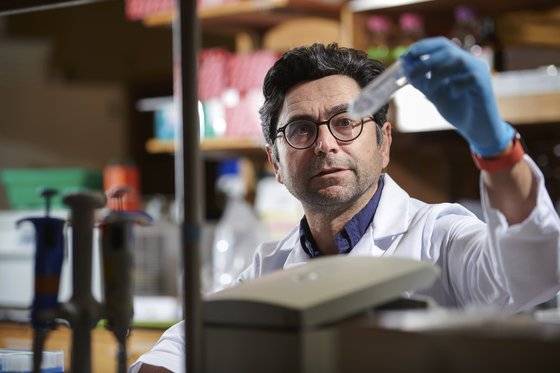 노벨 생리의학상 공동 수상자 아뎀 파타푸티언 미국 스크립스연구소 신경과학과 교수. AP=연합뉴스