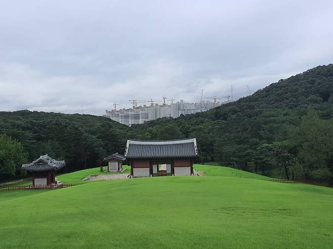 Across from the royal tomb Jangneung in Gimpo, Gyeonggi Province, construction of an apartment complex in Incheon’s new town of Geomdan is visible through the tops of the trees. (CHA)