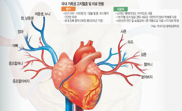 미국 심장학회(ACA)가 발행하는 계간지 2015년 특별판에 게재된 ‘가족성 고콜레스테롤혈증의 비극적 진실’에 삽입된 이미지. 가족 간에 대를 이어 유전되며 적절한 치료가 이뤄지지 않으면 치명적인 심혈관질환으로 이어질 수 있음을 보여준다. 미국 심장학회 제공