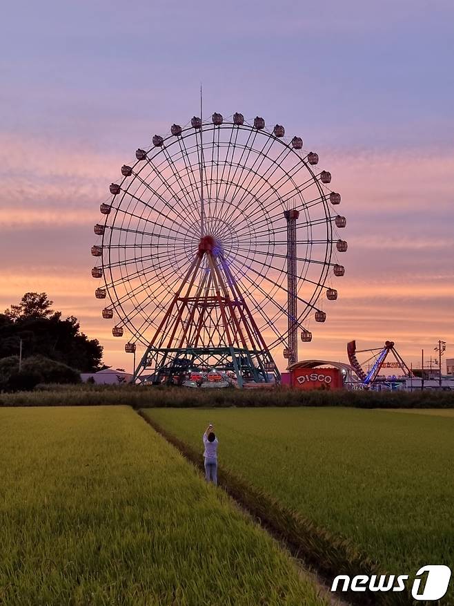 보랏빛 하늘과 어우러진 삽교호놀이동산 및 논이 그림 같은 풍경을 자아낸다. 사진은 무보정이다.© 뉴스1