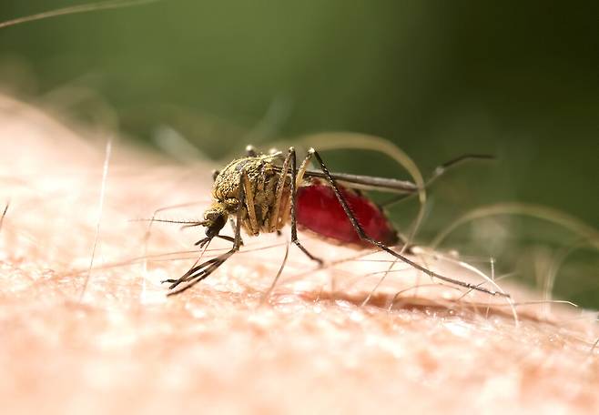 게티이미지뱅크