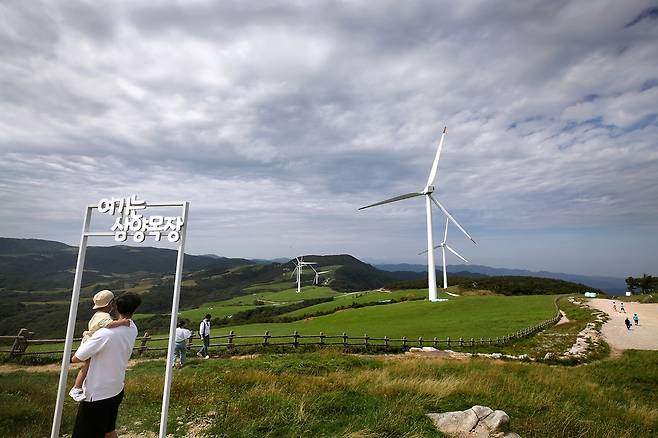 동해전망대 맞은 편으로 푸른 초지가 펼쳐져 있다. 삼양목장의 총면적은 약 2천만㎡(600만 평)로 여의도의 7.5배에 달한다. [사진/전수영 기자]
