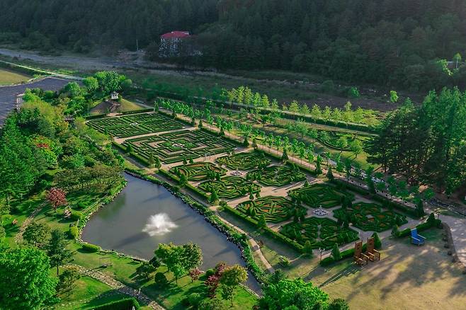 수목이 만들어 낸 패턴이 한 폭의 그림처럼 아름답다. [켄싱턴호텔 제공]