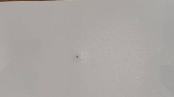 무라타제작소가 생산하는 가장 큰 크기(1.0×0.5×0.5㎜)의 적층세라믹커패시터(MLCC)와 쌀의 비교. MLCC는 '전자산업의 쌀'로 비유되지만 쌀보다 훨씬 작다. 이 작은 부품 내부는 얇은 세라믹 막들로 채워져 있다. /교토=정영효 특파원