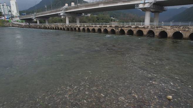 브라운송어가 서식하는 것으로 알려진 소양댐 하류. 연중 섭씨 15도 내외의 찬 물이 흐른다.