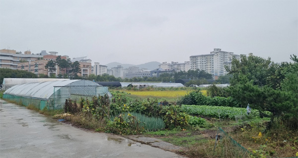 2차 공공택지 사전청약을 앞둔 10일 성남 신촌지구 뒤로 서울 세곡동 아파트가 보인다. [이승환 기자]