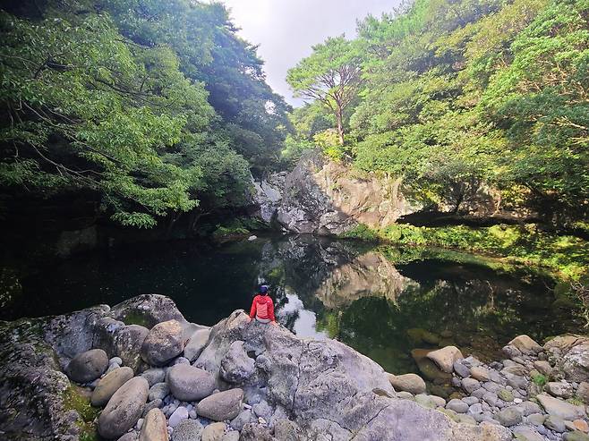 고독감 마저 느껴지는 고살리숲길을 가다 갑자기 마주하게 되는 속괴와 바위옆 적송