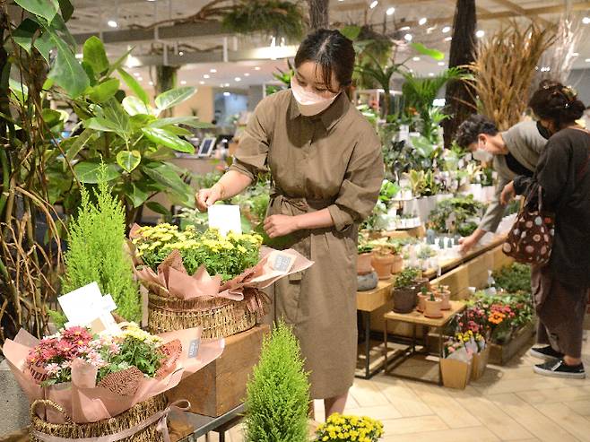 롯데백화점 부산본점 6층 '수수가든카페' 매장에서 여성 고객이 다양한 가을 꽃장식 상품을 살펴보고 있다. 롯데쇼핑 제공