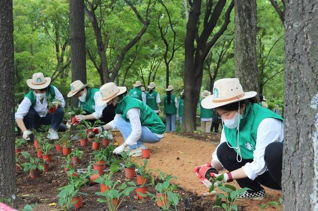 스타벅스커피 코리아가 서울시, 서울그린트러스트와 함께 지난 4월부터 진행한 'Cup a Tree(나무 품은 컵)' 캠페인을 성공적으로 마무리했다. /스타벅스커피 코리아 제공