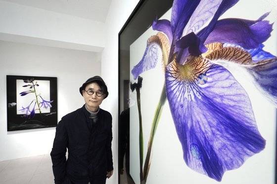 사진작가 박상훈이 서울 갤러리나우에서 자신의 꽃 사진을 배경으로 서 있다. 아래 사진은 그가 찍은 대통령 사진들. 선거 포스터 등에 쓰였다. [사진 박상훈]