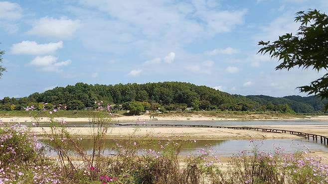 A view of Yeongju’s Museom Village and the single log bridge (Kim Hae-yeon/ The Korea Herald)