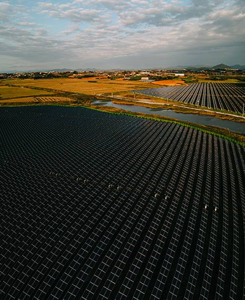 전남 무안군 운남면 인근 간척지에 대규모 태양광 패널이 설치돼 있다.