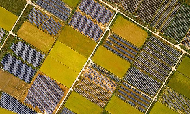 전남 영암군 삼호읍 영산강 인근 간척 농지에 태양광 패널이 바둑판처럼 설치돼 있다.