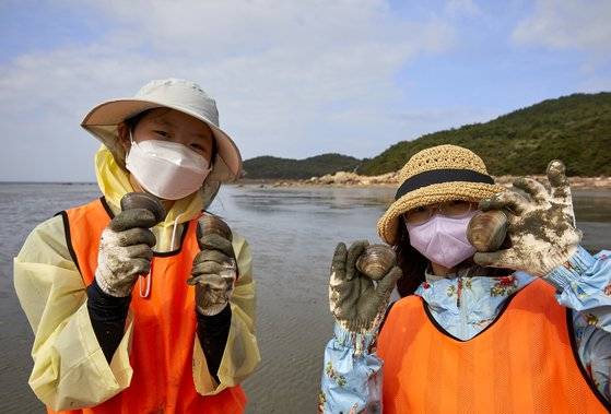 포내 어촌체험휴양마을 갯벌에서는 동죽·맛조개·바지락·모시조개·칠게·방게 등 다양한 생물이 살고 있다. 직접 발견한 백합을 들어 보인 소중 학생기자단.