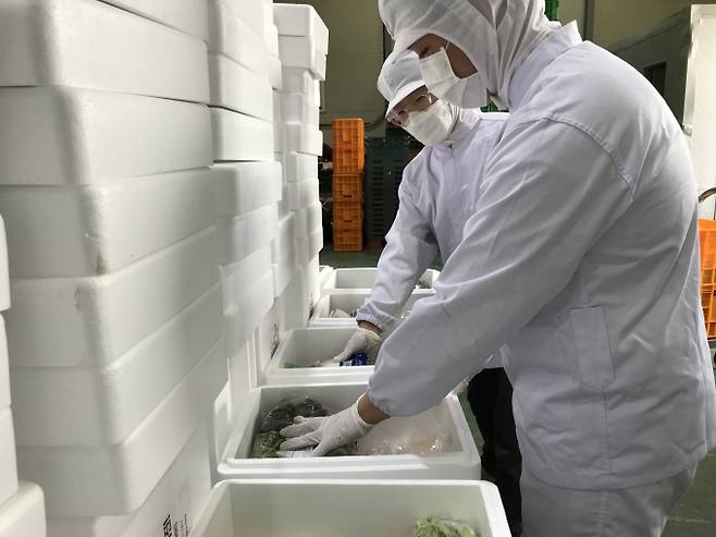진정한팜 관계자들이 친환경 밀키트 제품을 포장하고 있다. (경북친환경영농조합법인 제공) 2021.10.16