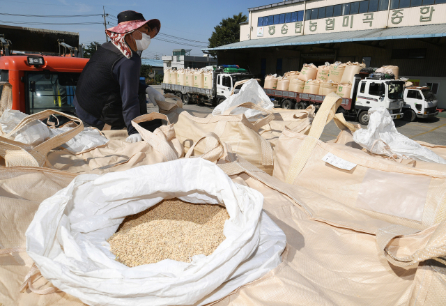 한 농민이 미곡처리장에서 쌀 수매를 기다리고 있다. /서울경제DB