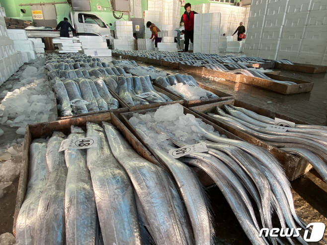 부산공동어시장에서 어업인들이 경매에서 낙찰받은 갈치를 상자에 담고 있다. 2020.3.18/뉴스1 © News1 여주연 기자