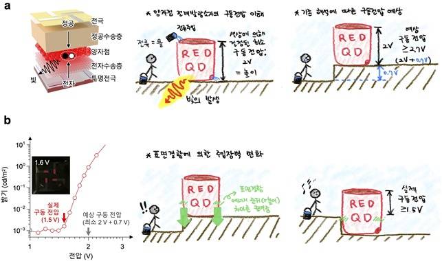 양자점 전계발광소자의 구동 특성과 에너지 준위(그림제공:KAIST 이현준 박사과정)© 뉴스1