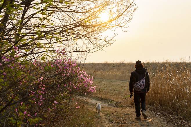 석모도 상주해안길 숲길 끝지점. 한국관광공사 제공
