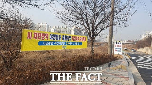 청주시가 동절기 가금농장 내 고병원성 조류인플루엔자 유입을 방지하기 위한 행정명령을 공고했다. / 청주시 제공