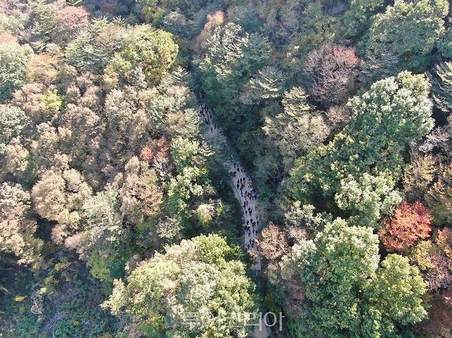 2019 지리산 회남재 숲길 걷기