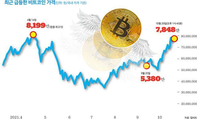 그래픽=박구원 기자
