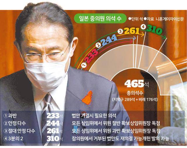 일본 중의원 의석 수 분류