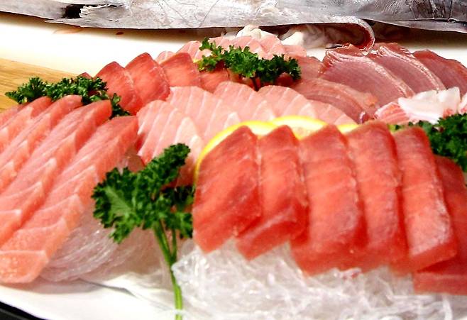 참치회 자료사진. [중앙포토]