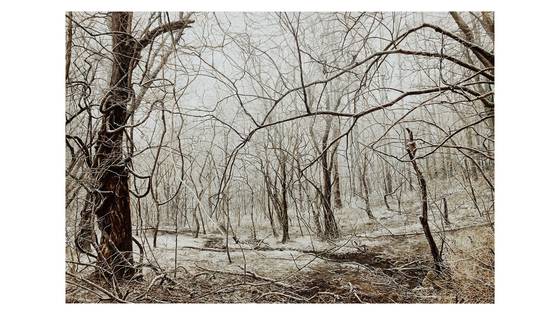 ″News from Nowhere - Freedom Village″ (2021) by Moon Kyung-won and Jeon Joon-ho now on view at the MMCA Seoul. [MMCA]