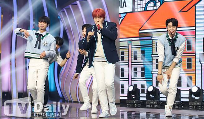 티브이데일리 포토