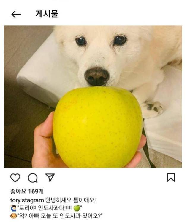윤석열 전 검찰총장의 반려견 토리 사진을 주로 올리는 인스타그램 계정에 윤석열 캠프 측이 21일 토리에게 사과를 주는 사진을 올려 논란이다. 이 사진은 현재 삭제된 상태다. 윤석열 인스타그램 캡처