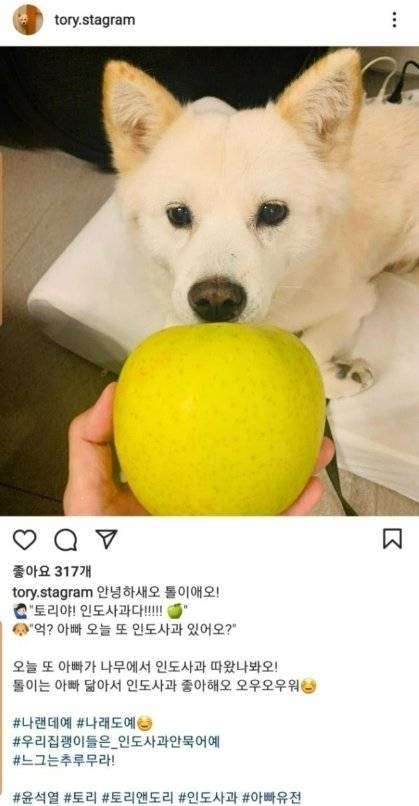 [토리스타그램 캡처]