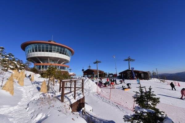 하이원리조트 스키장 마운틴탑