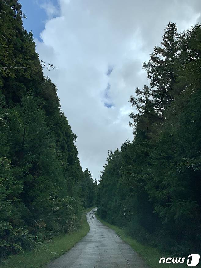 의귀리 옷귀마 테마타운을 가는 길© 뉴스1