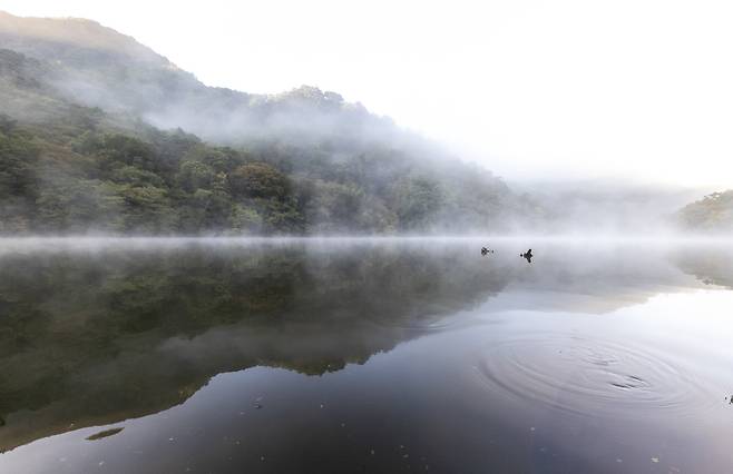 핸드폰사진관/ 주산지