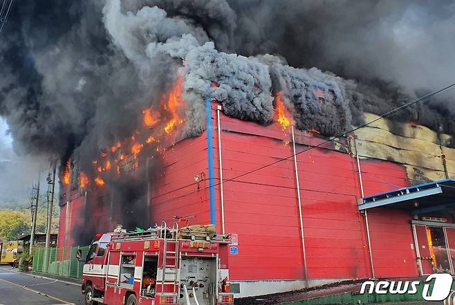 충남 홍성군 광천김특화단지 내 한 공장에서 불이 났다.(충남소방본부 제공)© 뉴스1