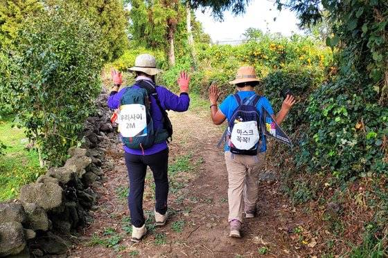 지난해 제주올레걷기축제 참가자들이 감귤밭 사이에 난 올레길을 걷고 있다. 사진 ㈔제주올레