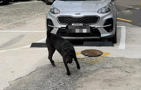 부산경찰청 제공. 연합뉴스