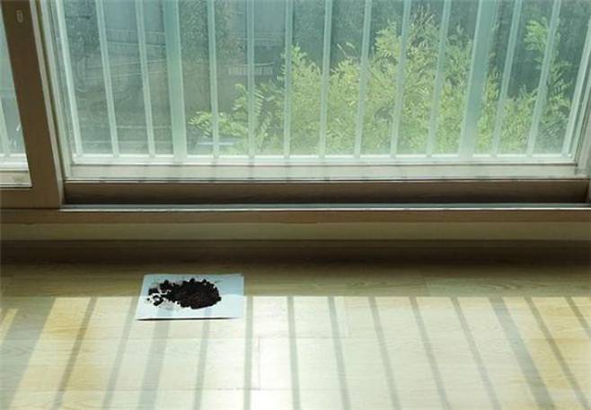 커피박을 말려 냉장고 탈취제나 신발장 습기제거제로 사용하기도 한다. 신귀선씨 제공