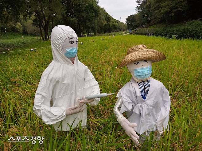 서울시 강남구 양재천 자전거도로에 설치된 허수아비. 손봉석 기자