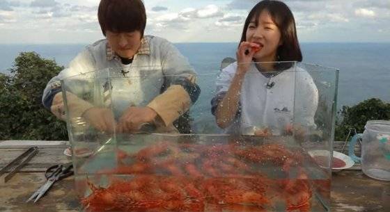 '독도의 날'을 맞아 기안84와 독도 새우 먹방을 진행한 쯔양. 사진I쯔양 유튜브 캡처
