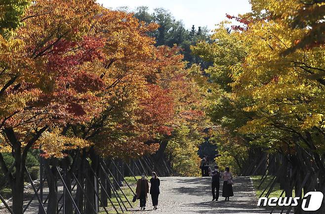 가을이 깊어가는 25일 울산 남구 문수체육공원을 찾은 시민들이 울긋불긋 물들어가는 단풍을 보며 가을 분위기를 즐기고 있다. 2021.10.25/뉴스1 © News1 윤일지 기자