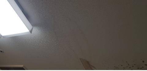 동탄 행복주택의 부실시공 문제를 불러왔던 하자 사진.&nbsp; &nbsp;김은혜 의원실 제공