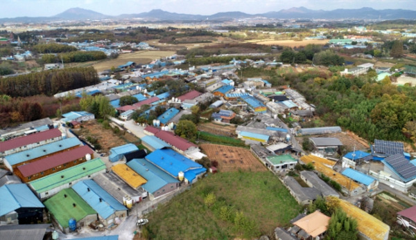 돼지 축사가 밀집해 있는 익산 왕궁면 학호마을. 익산시 제공